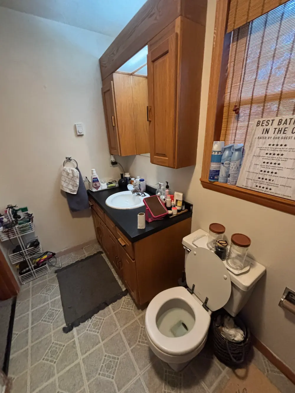 Before: Old vanity and bathroom layout